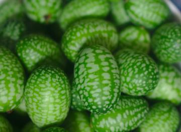 Cucamelons Are The Cutest Fruit Around