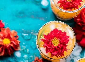 Warm Weather Is Here So Get Lit With These 16 Cocktail Recipes