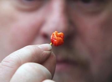 A New Chili Pepper Tops The Scoville Scale