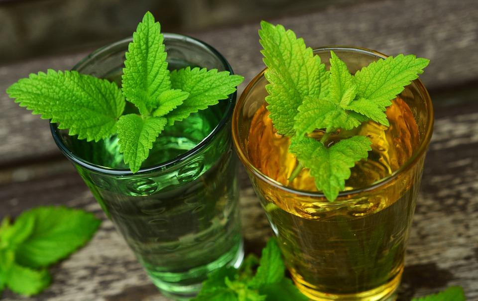 Nettle Tea Allergy Relief Could Be Your Savior