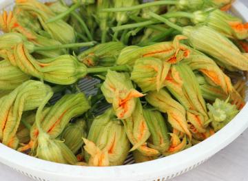 Squash Blossoms Will Fulfill All Your Summer Appetizer Dreams