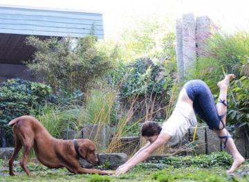 14 Photos That Prove Animals Are The Perfect Yoga Companion