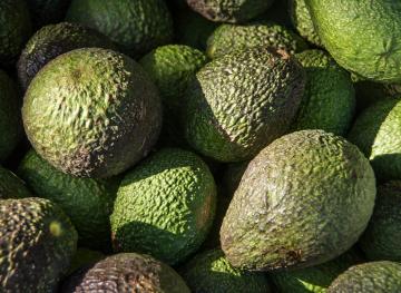 5 Hacks For Keeping Your Avocados Perfectly Ripe