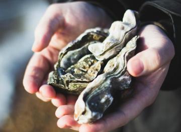 Here’s How Restaurants Can Easily Source Their Seafood Sustainably