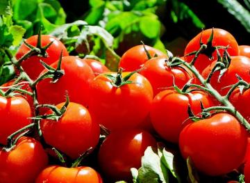 Eating Tomatoes Every Day Could Halve Your Skin Cancer Risk