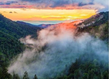 5 Reasons To Hike The Great Smoky Mountains