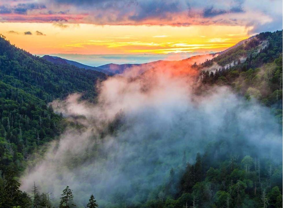 Best Great Smoky Mountain Hikes For Outdoor Adventures