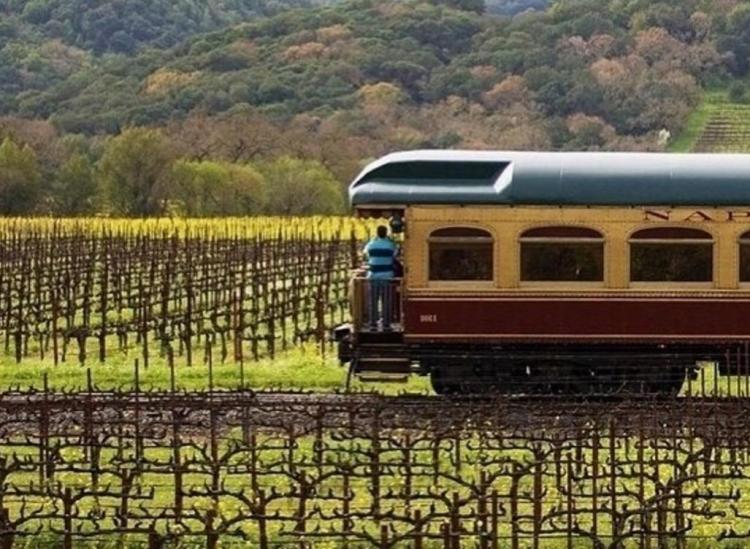 wine tour napa train