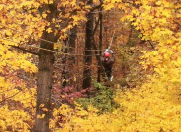 5 Ziplines That Prove Fall Is Better Flying Through The Treetops