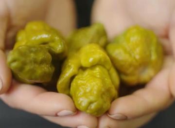 Pepper X Is Officially The Hottest Pepper In The World