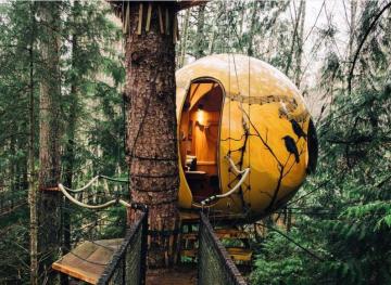 You Can Spend The Night In A Whimsical Canadian Treehouse Cocoon