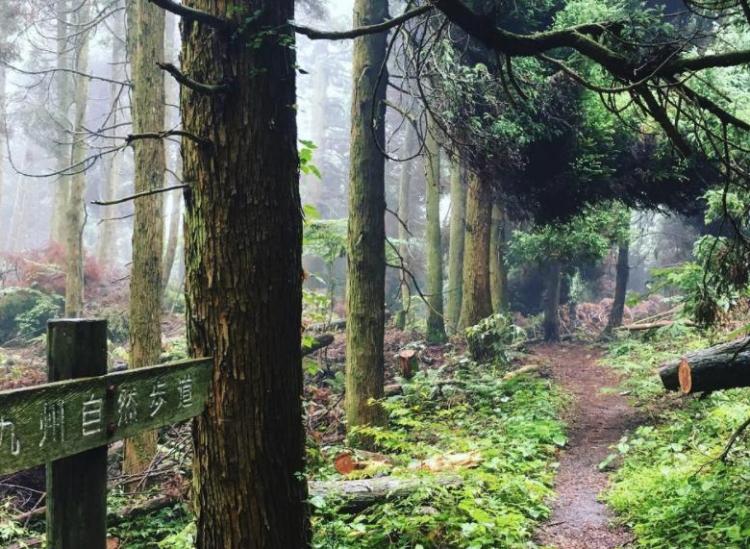 Japan Hiking Trails Are Some Of The Longe