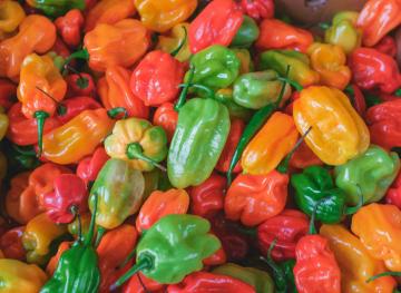Here’s Your Guide To Cooking With Hot Peppers