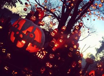 These Jack-O’-Lantern Displays Are Ghoulishly Cool