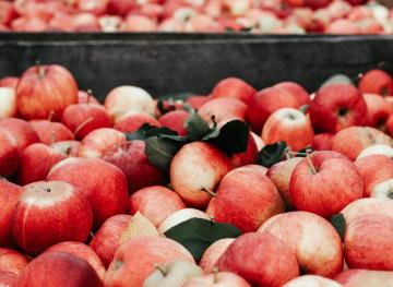 You Eat Apples That Are 10 Months Old, But That’s Not As Gross As You Think