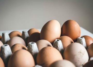 Here’s How You Can Tell If Your Eggs Have Gone Bad