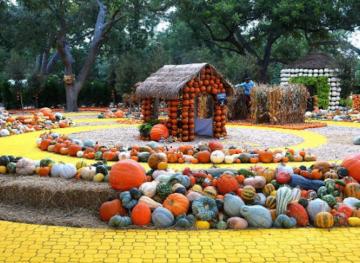 You Can Walk Through This ‘Wizard Of Oz’-Themed Pumpkin Village In Dallas