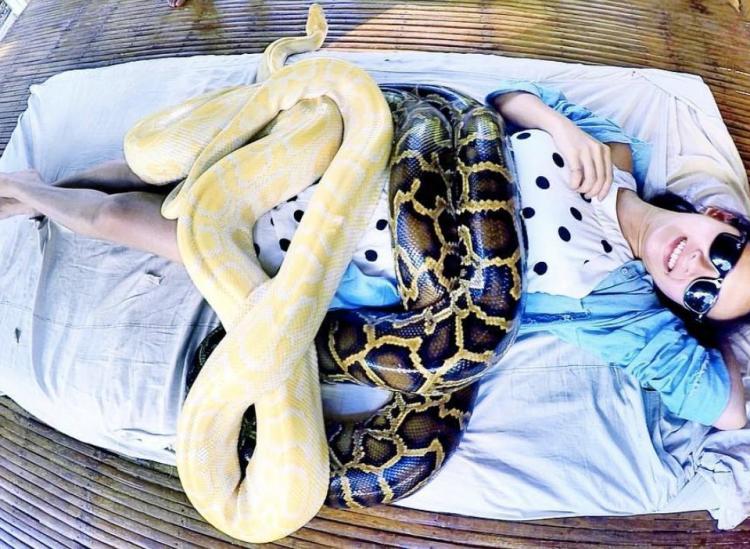 Snake Massage Is Real And You Can Get One