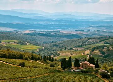 These 5 Books Will Pair Perfectly With Your Wine Country Vacation