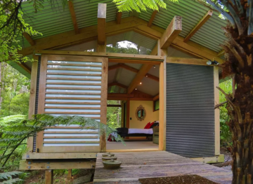 Embrace The Jungle In This Wild New Zealand Airbnb