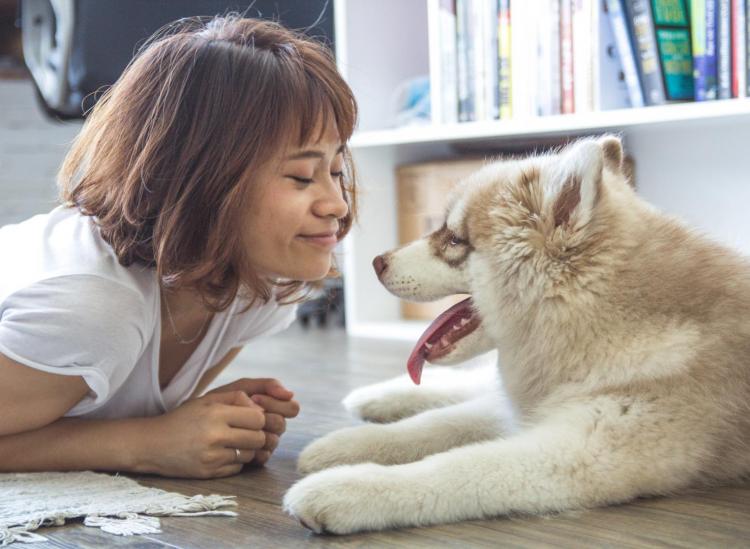 Science Says Office Dogs Could Make Your Life Better