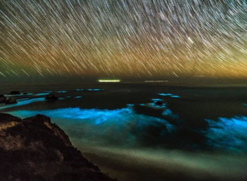 Big Sur Is Glowing, Thanks To Tiny Bioluminescent Phytoplankton