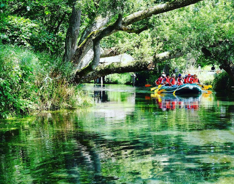 Daio Wasabi Farm Japan Is A Beautiful Lush Escape