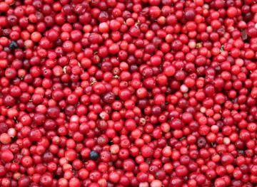 No, Cranberry Juice Doesn’t Cure UTIs