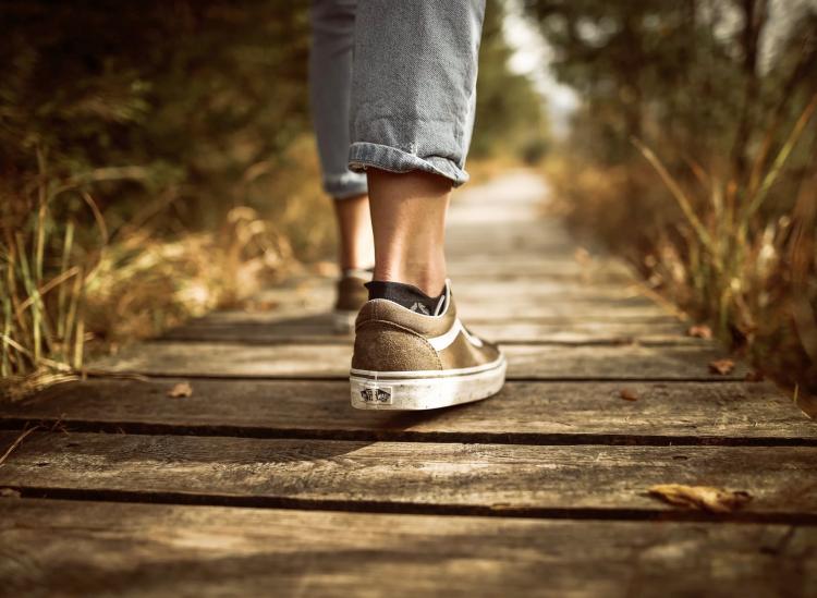 walking longevity study