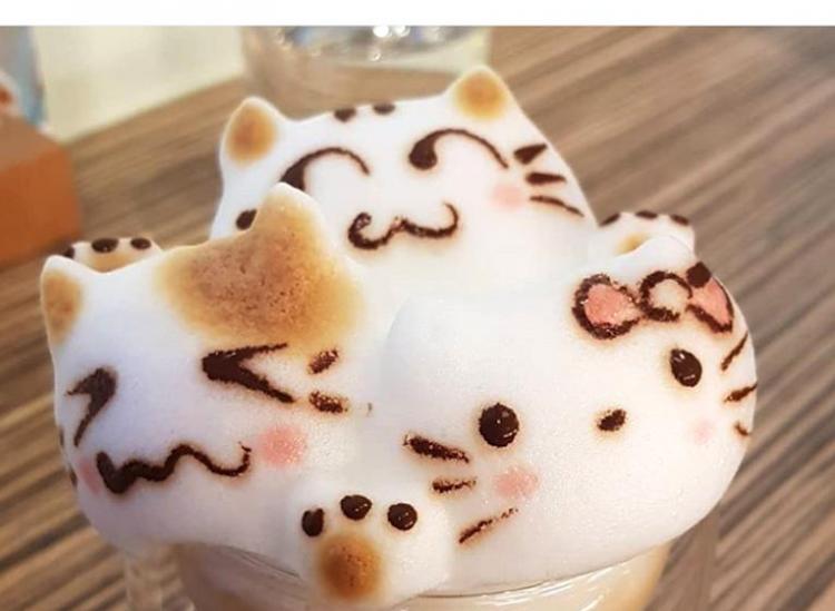 3d animal lattes