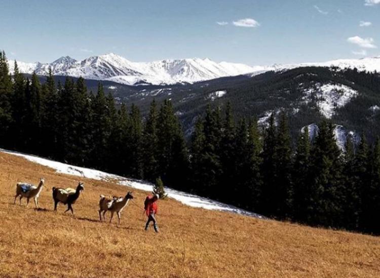 llama lunch hiking tours