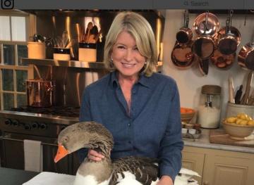 Get Excited, Martha Stewart Will Be A Judge On The Food Network’s ‘Chopped’