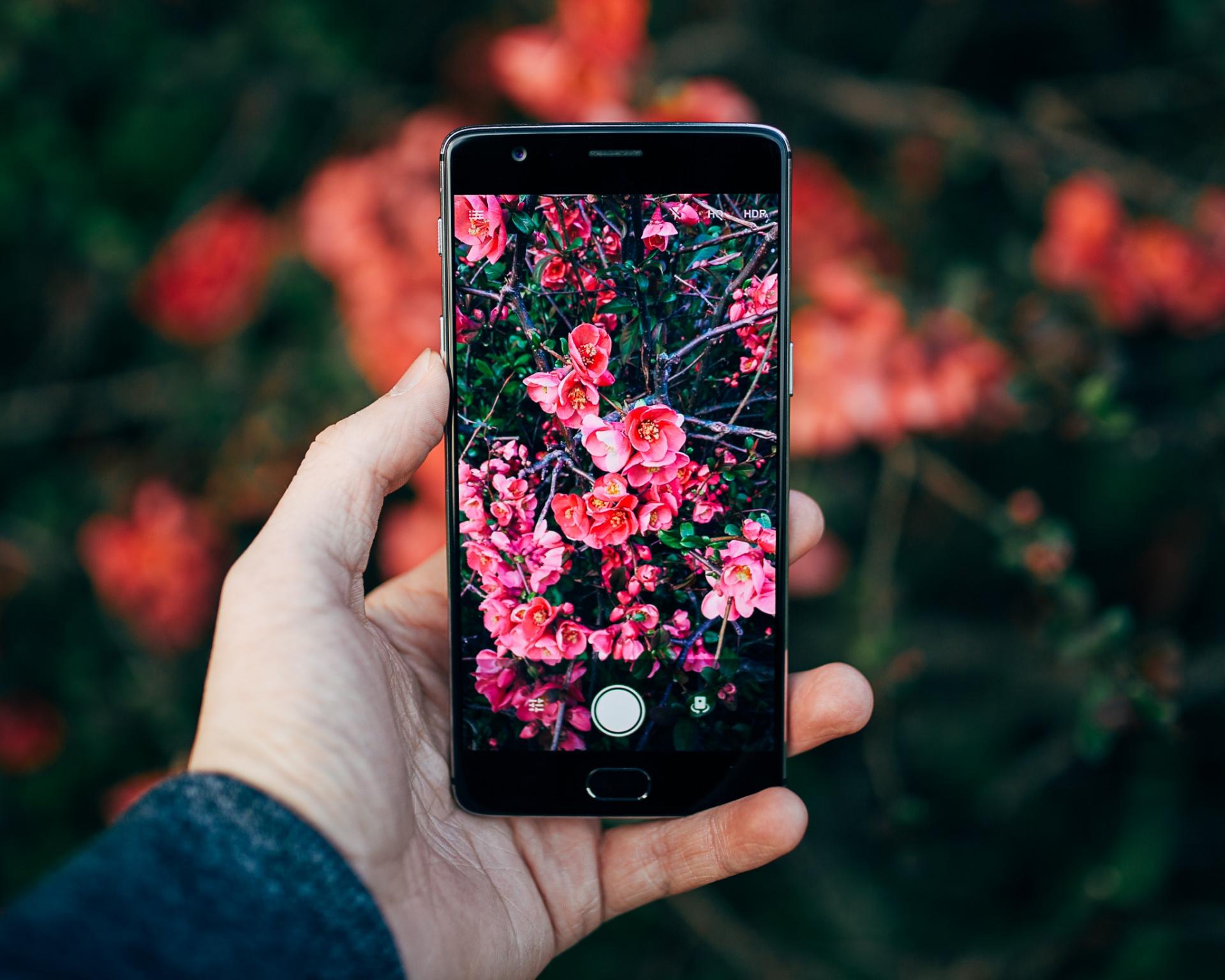 Inaturalist Seek App Can Identify Plants And Animals Inaturalist Seek App Can Identify Plants And Animals