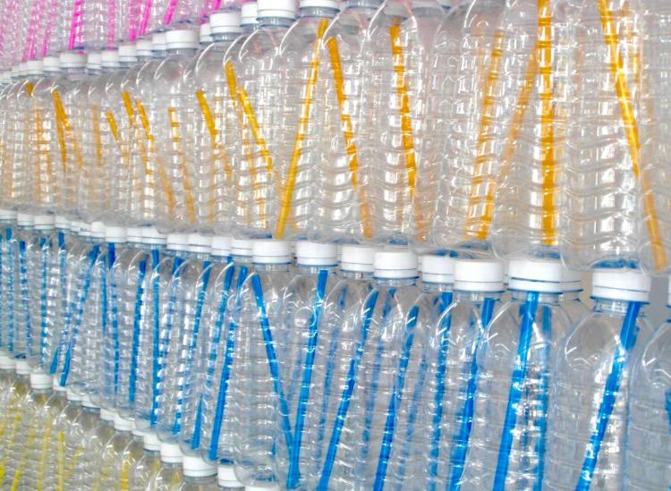 plastic bottles health risks