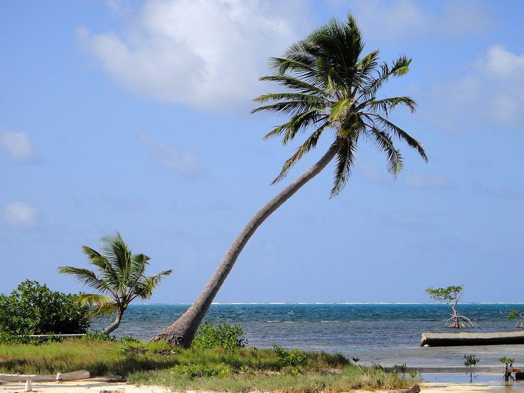 Turneffe Atoll Belize