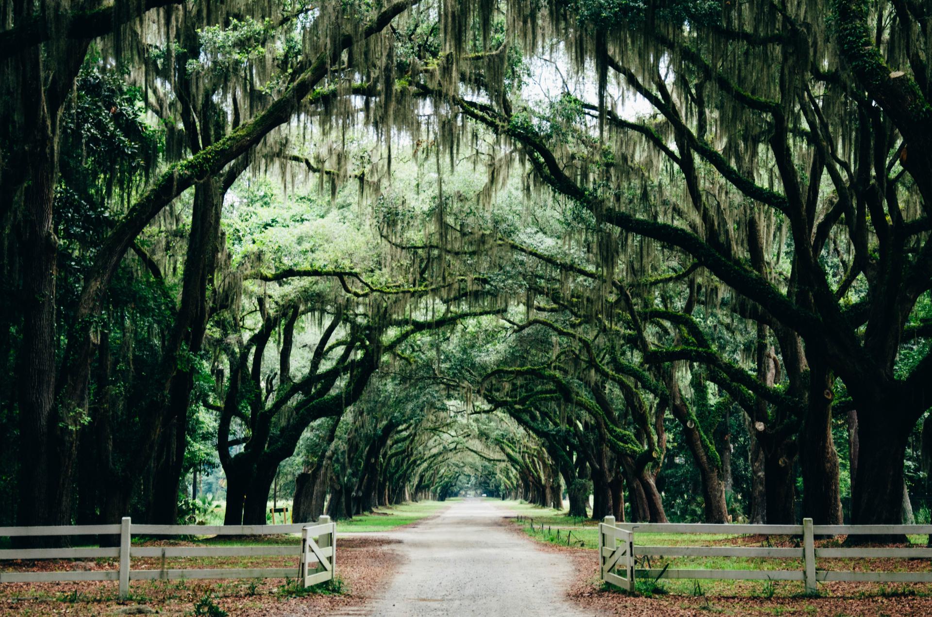 Best Southern Road Trip Itinerary In The U S   Ashley Knedler 108482 Unsplash 