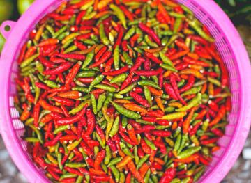benefits of eating hot peppers