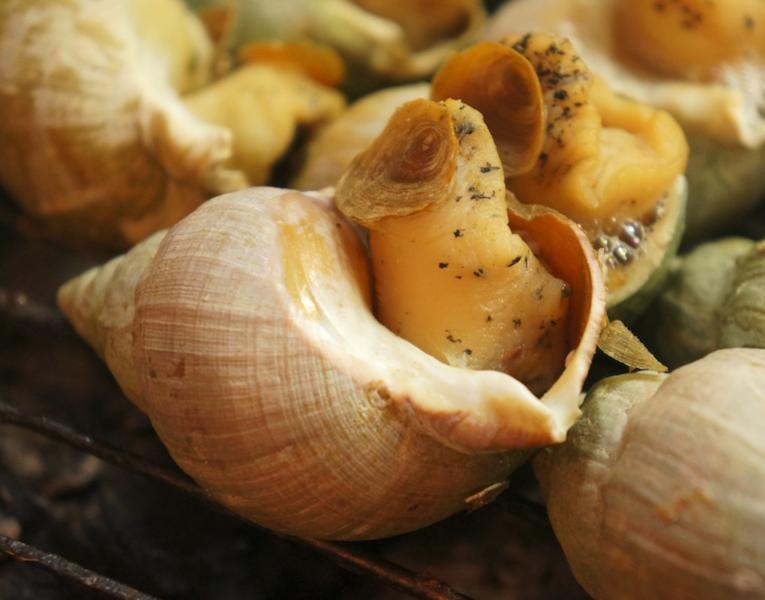 snails health benefits