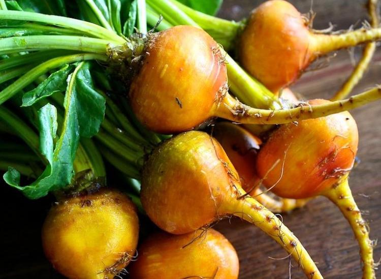 golden beets benefits