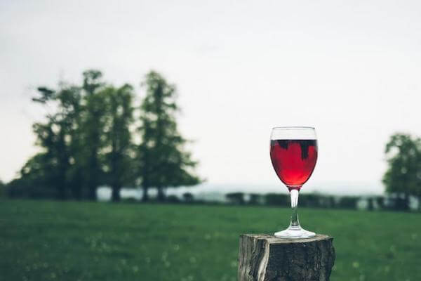 i ditched alcohol. here's what happened.