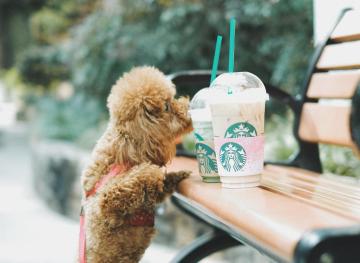 Here’s How You Can Save Money At Starbucks, One Drink At A Time