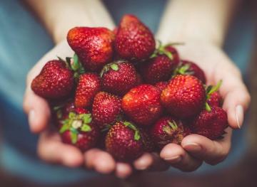 best produce gadgets