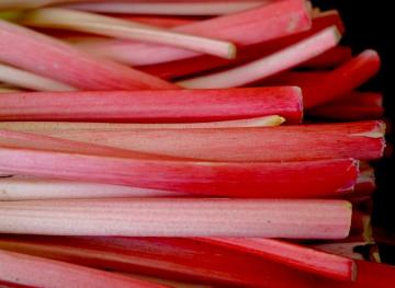 5 Tart Rhubarb Recipes That’ll Add A Splash Of Pink To Any Dinner Table