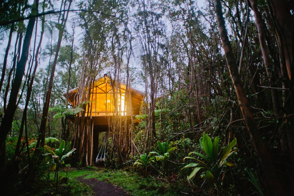 Hawaii treehouse Airbnb