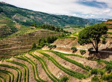 Newsletter 8/17/18: The Ultimate Wine Vacay You Need