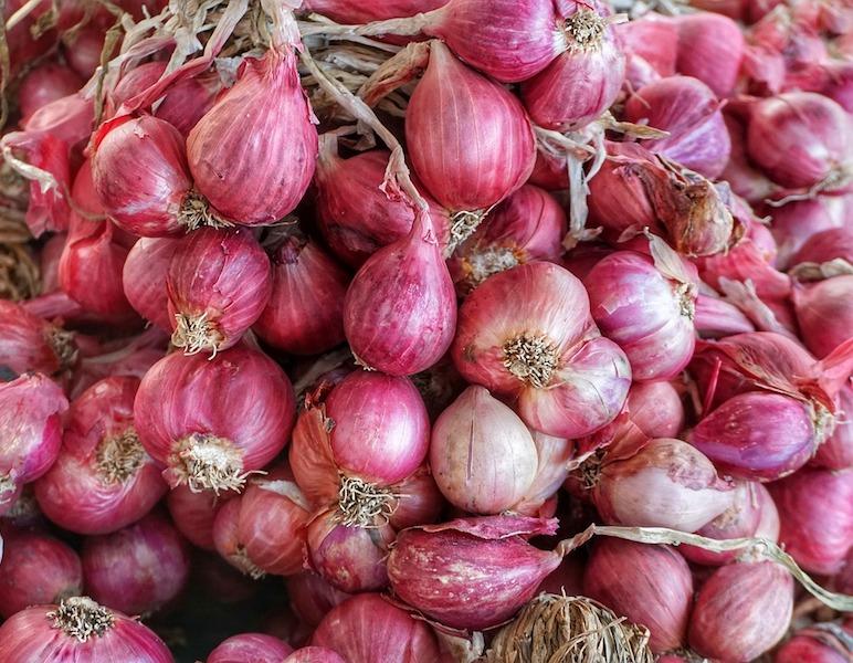 how to cook with different onions