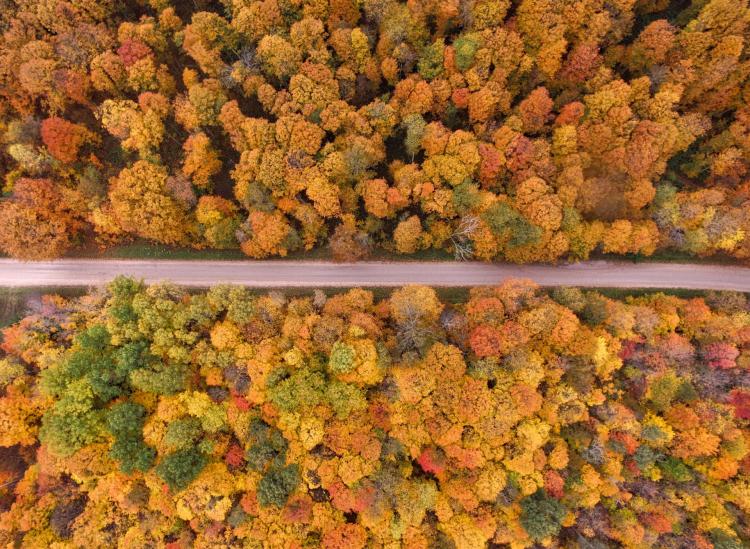 where to see fall colors