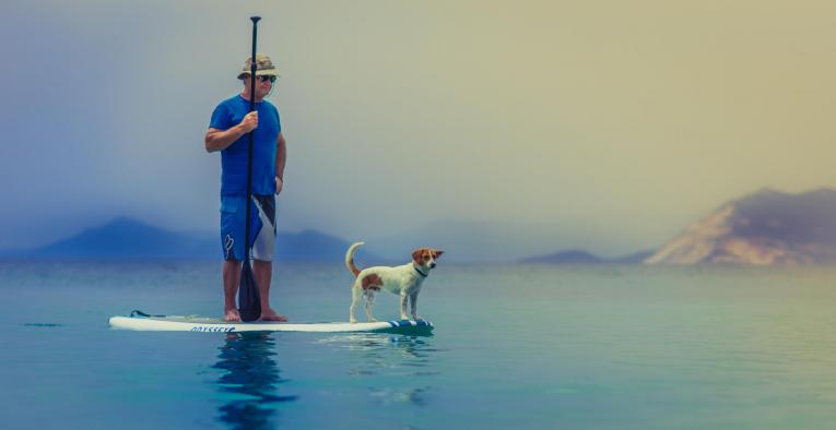 dog surfing instructor