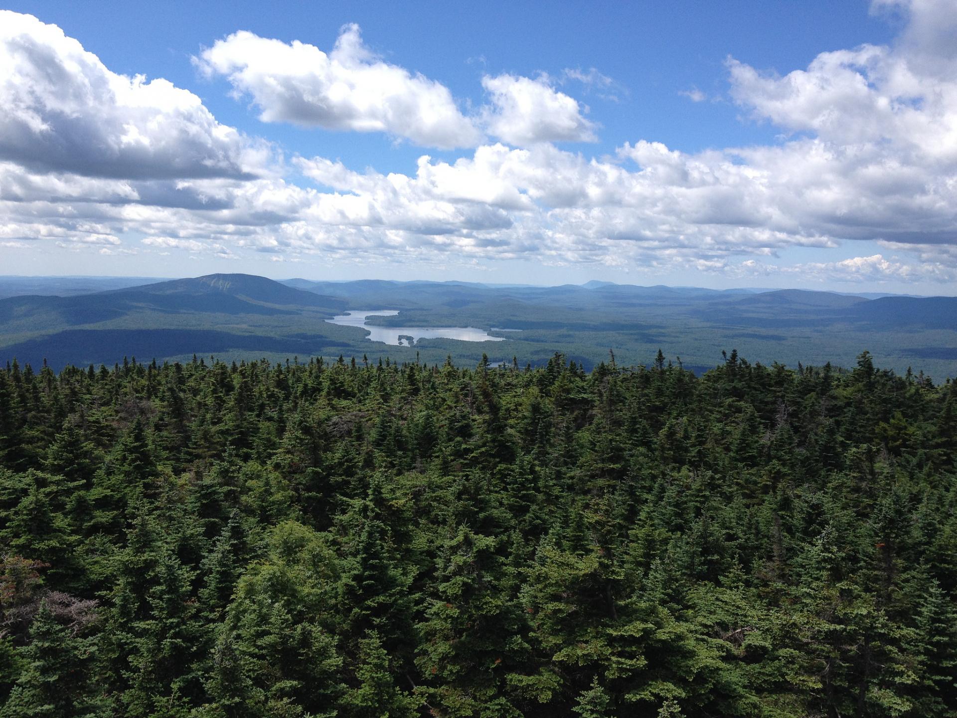 The Long Trail Vermont Is Nearly 300 Miles Of Mountains