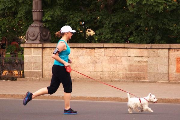 Animal workout classes you need to try